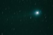 Lovejoy Lovejoy