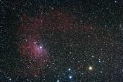 The Flaming Star Nebula