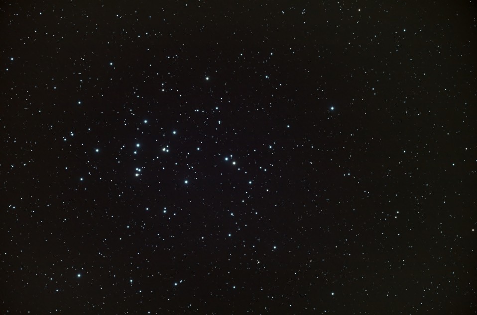 M44 25pct