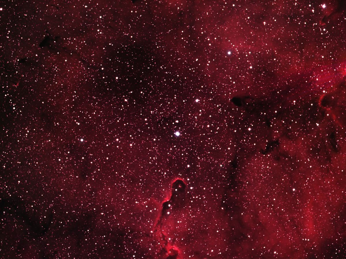 IC1396 à 1200pix