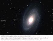 M81