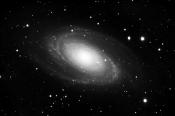 m81