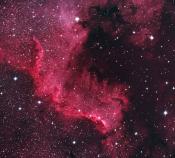 NGC7000-America