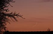 Croissant de lune + avion