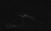 NGC6960 - DENTELLES DU CYGNE