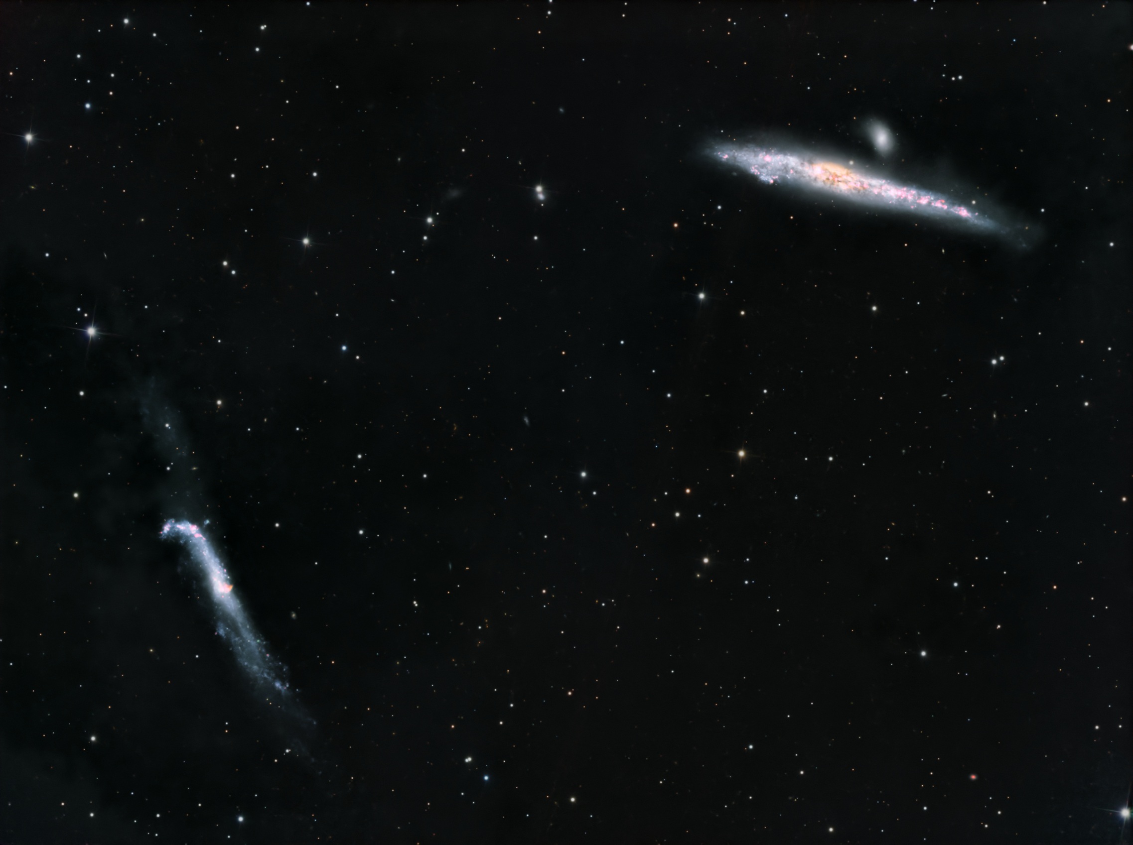 NGC4631
