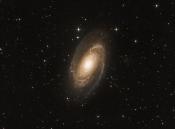 M 81