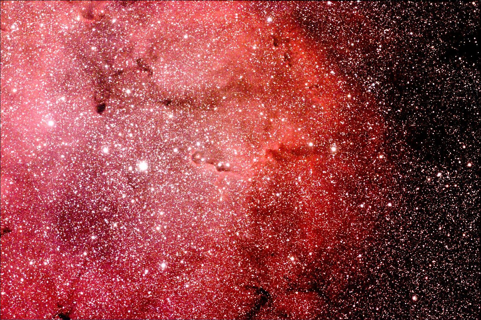 IC1396 au Canon 300D