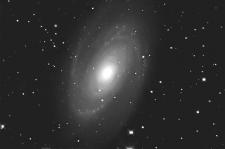 M 81