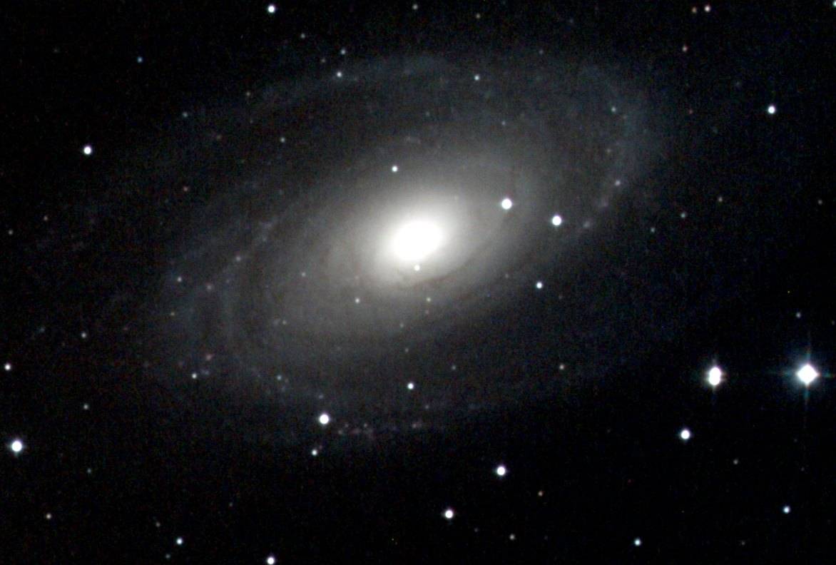 M81