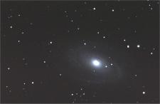 M81