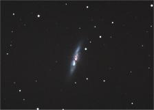 M82