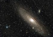 M31